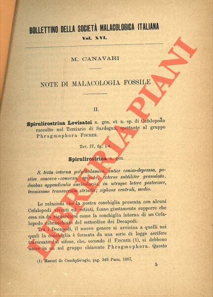 Note di malacologia fossile. II.