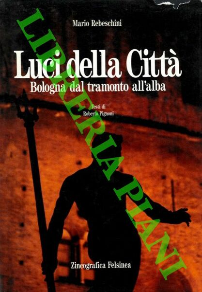 Luci della città. Bologna dal tramonto all'alba.