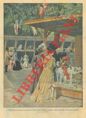 L'Esposizione Nazionale degli animali da allevamento: cani, gatti, ecc. nei …