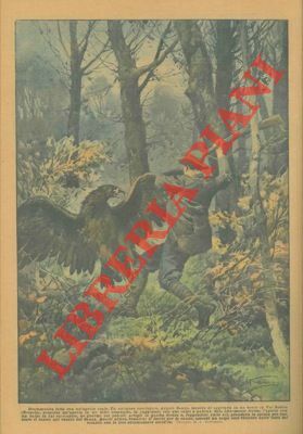 Cacciatore scopre un'aquila in un folto cespuglio e dopo averla …