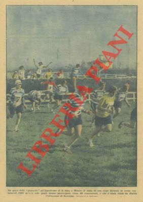 La gara delle "gazzelle" all'Ippodromo di S. Siro. Il salto …