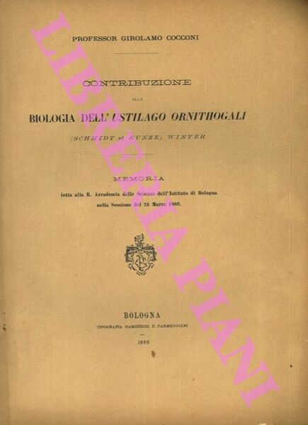 Biologia dell'Ustilago ornithogali (Schmidt et Kunze) winter.