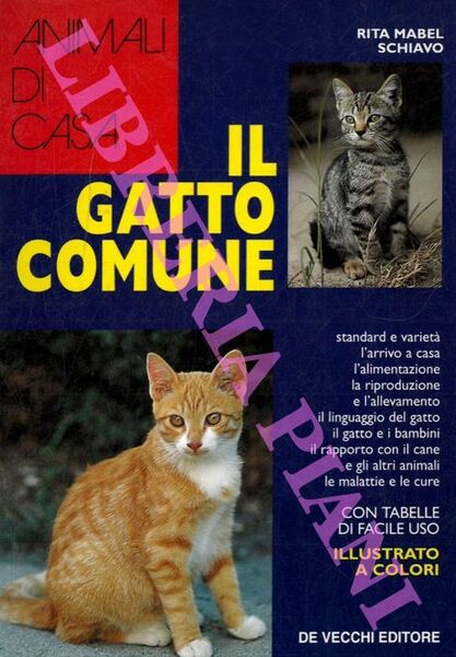 Il gatto comune.