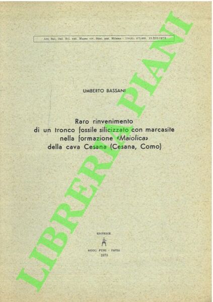 Raro rinvenimento di un tronco fossile silicizzato con marcasite nella …