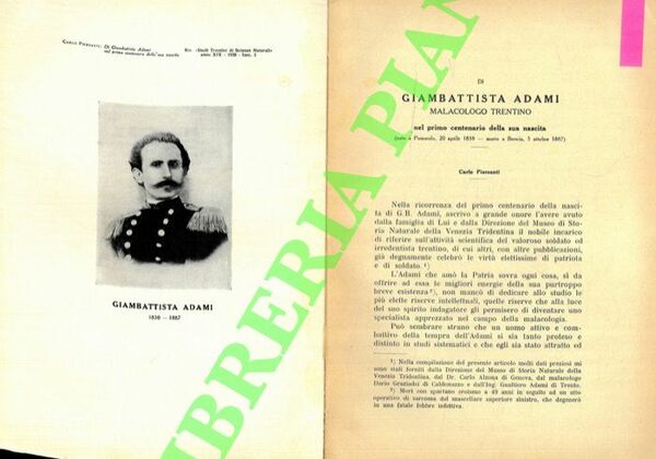 Di Giambattista Adami malacologo trentino nel primo centenario della sua …