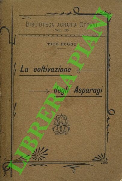 La coltivazione degli asparagi.