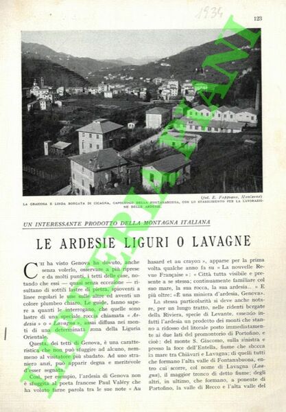 Le ardesie liguri o lavagne.