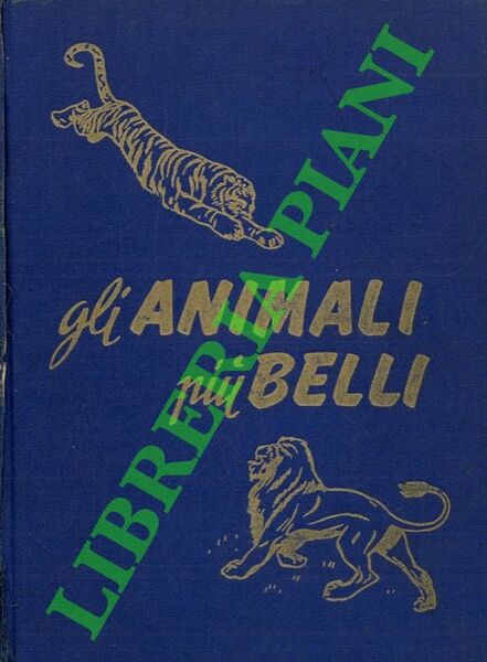 Gli animali più belli.
