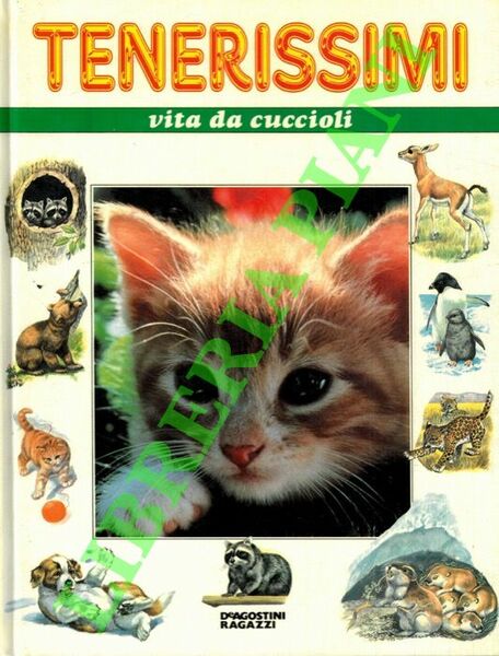 Tenerissimi vita da cuccioli.