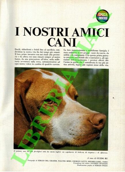 Epoca-Universo. I nostri amici cani. Fascicoli 1-3 Gli uccelli. Prima …