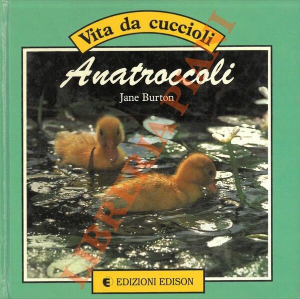 Anatroccoli.