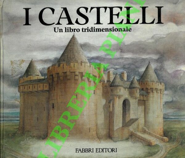 I castelli. Un libro tridimensionale.