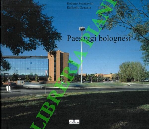 Car Corporate Image: Project in Miami .