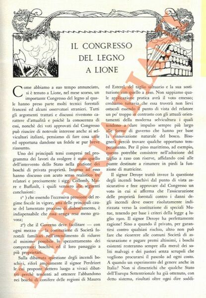 Il Congresso del legno a Lione.