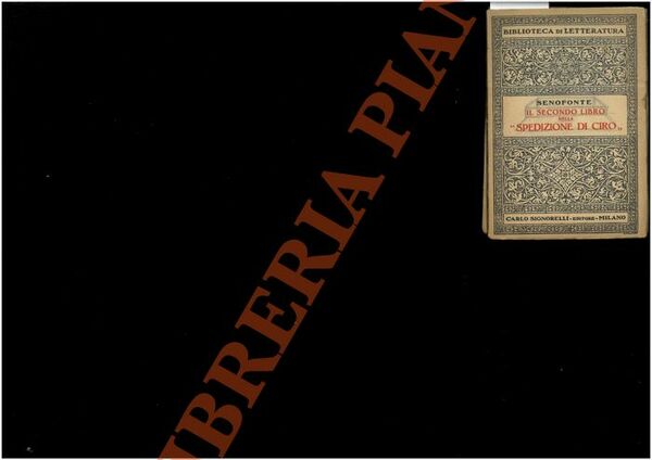 Il secondo libro della “Spedizione di Ciro”.