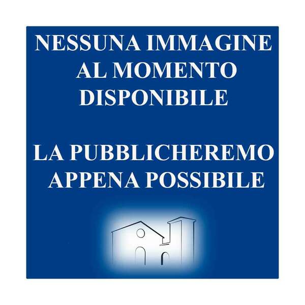 Spazio pubblico per la città. Problemi della mobilità pedonale.