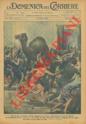 Un dromedario fuggito da un circo, a Torino, fa irruzione …