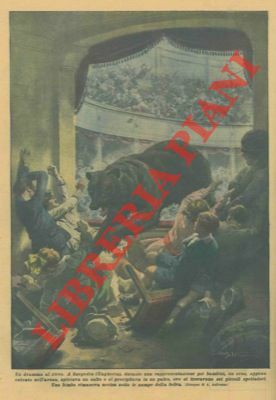 Durante uno spettacolo in un circo un orso balza sugli …