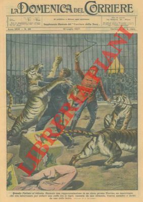 Tigri assalgono domatore durante uno spettacolo a Treviso.