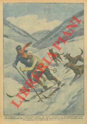 Due sciatori inseguiti da tre lupi affamati hanno sostenuto un'emozionante …