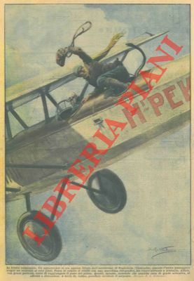 Serpente crea il panico su un piccolo aeroplano.