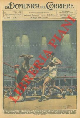 Incontro di boxe tra un canguro ed un pugile professionista.