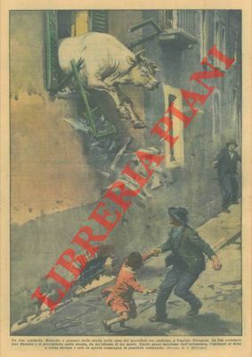 Riuscito a passare dalla stalla nella casa del macellaio suo …