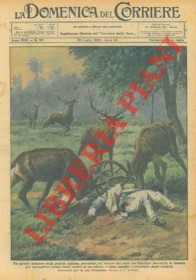 Uomo entra nel recinto dei cervi in un giardino zoologico: …