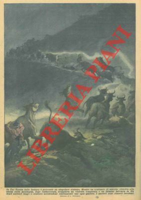 In Val Trenta, mentre un centinaio di mucche risaliva alla …