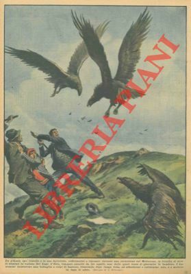 Sul Mottarone da dove si domina la vallata del Lago …