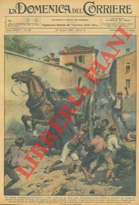 Cavallo imbizzarrito in un paese della bergamasca sta per travolgere …