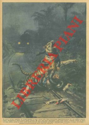 Nella foresta indiana un uomo aspetta il treno vicino alla …