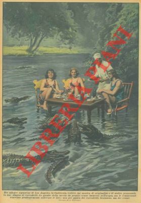 Tre signorine di Los Angeles pranzano in uno stagno di …