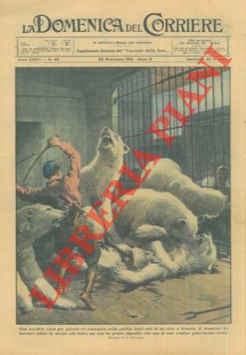 Rissa per gelosia scatenatasi nella gabbia degli orsi in un …