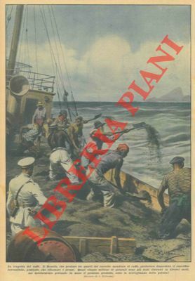 Il Brasile, che produce tre quarti del raccolto mondiale di …