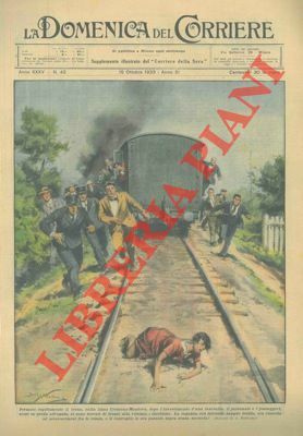 Fermato il treno sulla linea Cremona-Mantova. Una ragazza si era …