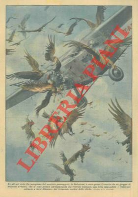 Un aeroplano è stato preso d'assalto da un gruppo di …