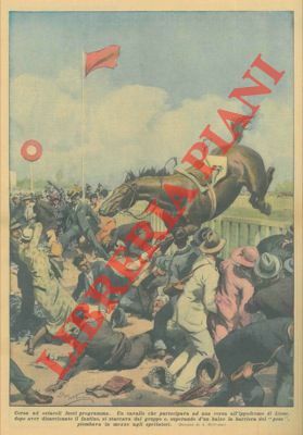 Un cavallo che partecipava ad una corsa all'ippodromo di Lione …