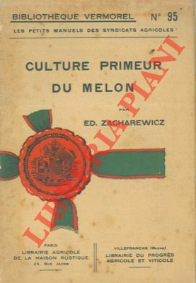 Culture primeur du melon.