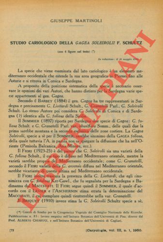 Studio cariologico della Gagea soleirolii F. Schultz.
