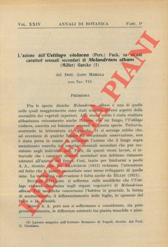 L'azione dell'Ustilago violacea (Pers.) Fuck. su alcuni caratteri sessuali secondari …