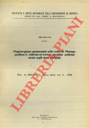Plagiotropismo sperimentale nelle radici di Plantago psyllium L. coltivata su …