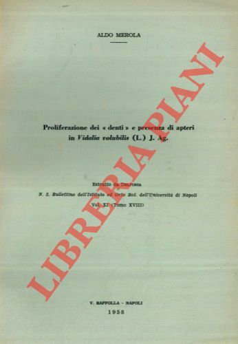 Proliferazione dei denti e presenza di apteri in Vidalia volubilis …