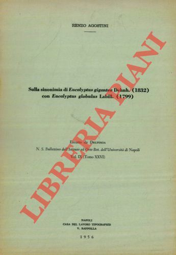 Sulla sinonimia di Eucalyptus gigantea Dehnh. (1832) con Eucalyptus globulus …