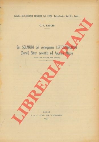 Sui Solanum del genere Leptostemonum (Dunal) Bitter avventizi ad Apuania …