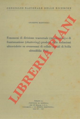 Fenomeni di divisione trasversale (misdivision ) e di frantumazione (shattering …