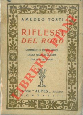 Riflessi del rogo. Rievocazioni e commenti della grande guerra.