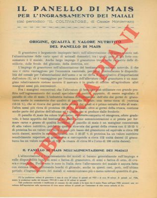 Il panello di mais per l'ingrassamento dei maiali