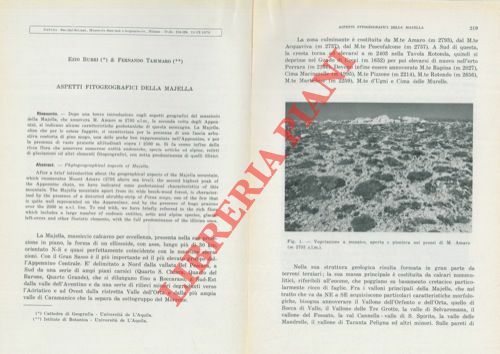 Aspetti fitogeografici della Majella.