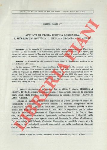 Appunti di flora esotica lombarda. I. Hypericum mutilum L. nella …